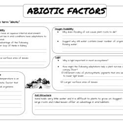 Abiotic and biotic factors worksheet