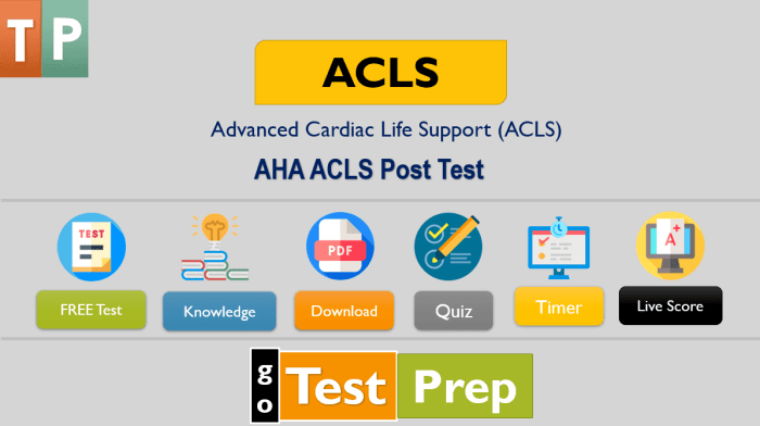 Pals post test answer key