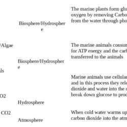 Carbon cycle gizmo answer key