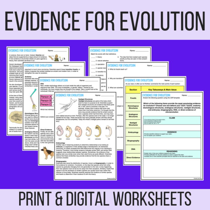 Evidence of evolution worksheet answer key